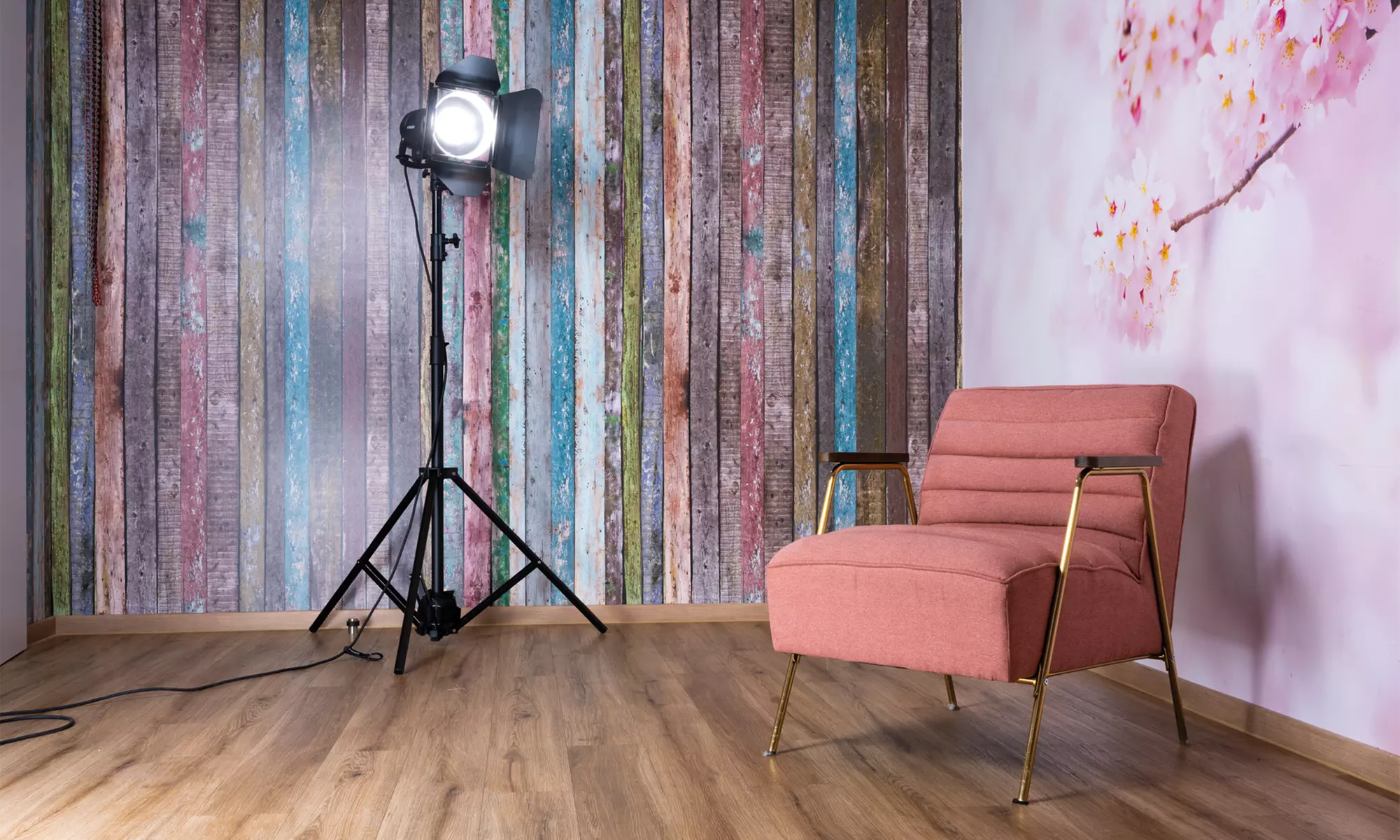 step into the spotlight! Photoshoot experience with 2-3 pictures at studioline PHOTOGRAPHY (save up to 83%)