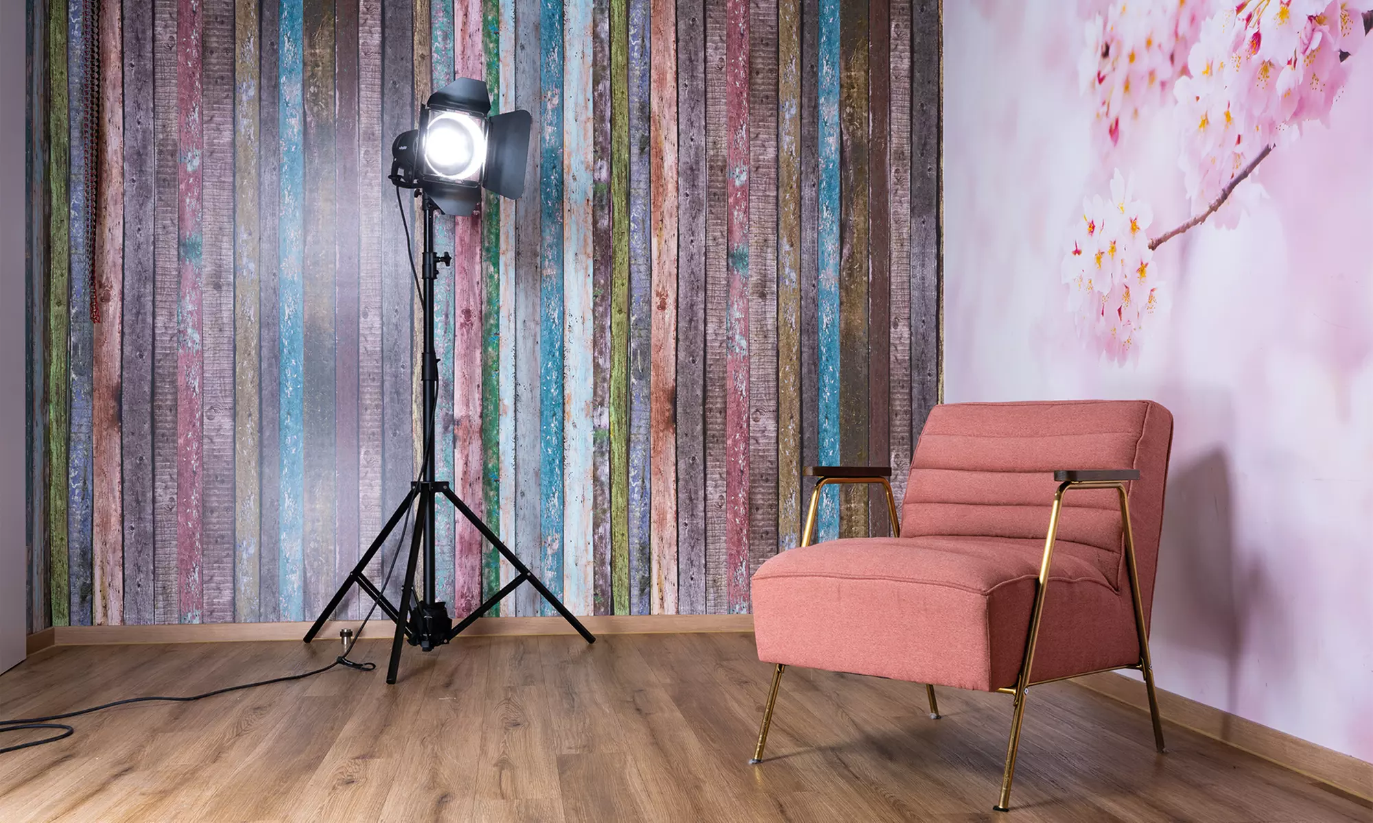 step into the spotlight! Photoshoot experience with 2-5 pictures at studioline PHOTOGRAPHY (save up to 80%)