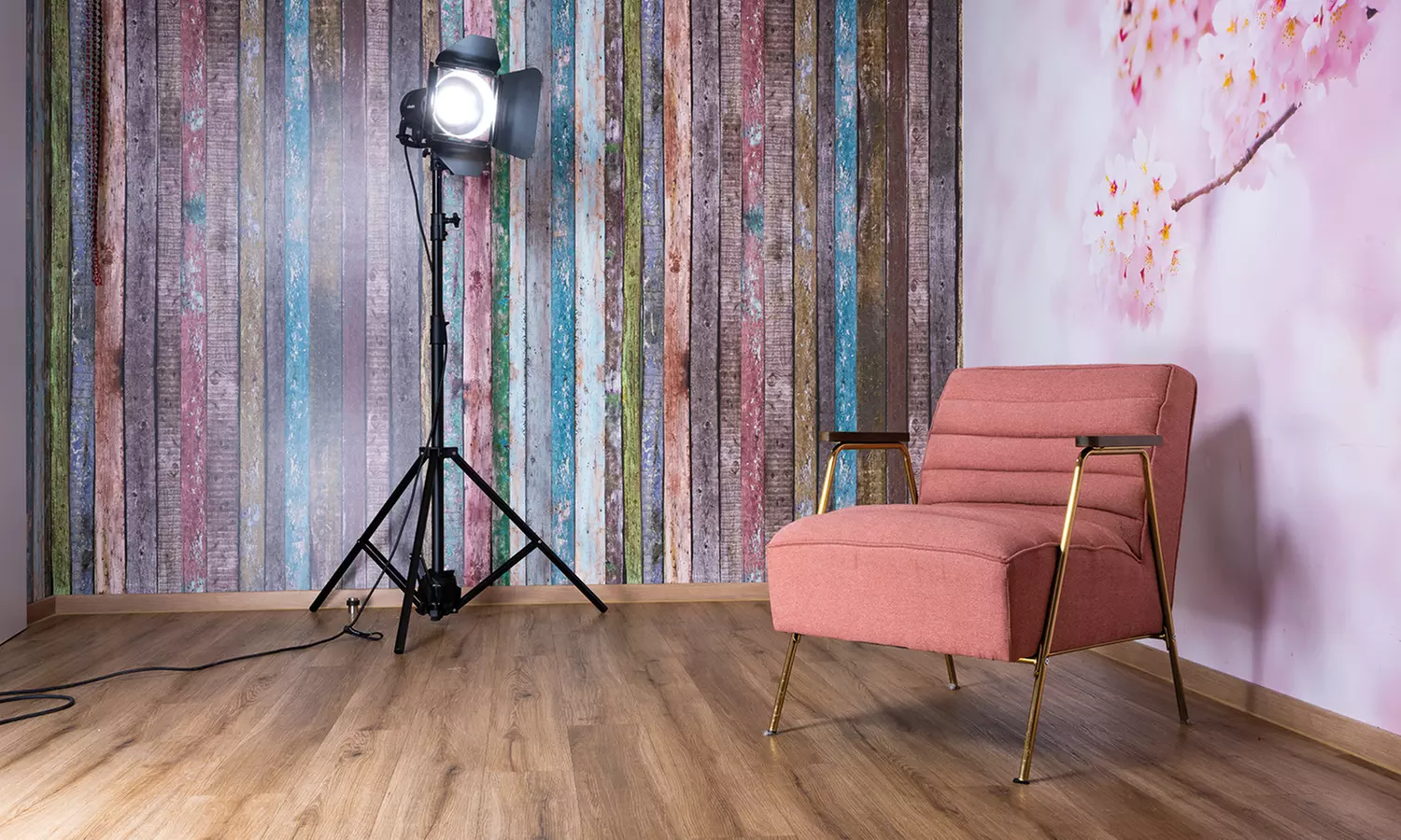 step into the spotlight! Photoshoot experience with 2-5 pictures at studioline PHOTOGRAPHY (save up to 80%)